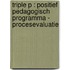 Triple P : Positief Pedagogisch Programma - Procesevaluatie