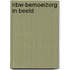 RIBW-Bemoeizorg in beeld