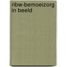 RIBW-Bemoeizorg in beeld by S. van de Lindt