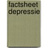 Factsheet depressie
