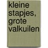 Kleine stapjes, grote valkuilen
