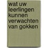 Wat uw leerlingen kunnen verwachten van gokken