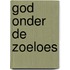 God onder de zoeloes