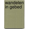 Wandelen in gebed door John Houghton