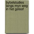Bybelstudies langs myn weg in het geloof