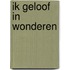 Ik geloof in wonderen