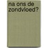 Na ons de zondvloed?