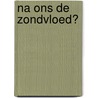 Na ons de zondvloed? by P. Bottelberghs