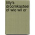 Tilly's droomkasteel of wie wil er