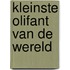 Kleinste olifant van de wereld
