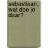 Sebastiaan, wat doe je daar?