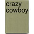 Crazy cowboy
