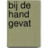 Bij de hand gevat