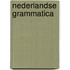 Nederlandse grammatica