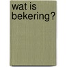 Wat is bekering? door B. Rubin