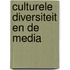Culturele diversiteit en de media