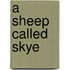 A sheep called Skye
