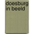 Doesburg in beeld