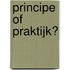 Principe of praktijk?
