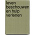 Leven beschouwen en hulp verlenen