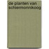 De planten van Schiermonnikoog