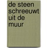 De steen schreeuwt uit de muur by A. Berkhof