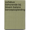Syllabus behorende bij Bloem Balans Beroepsopleiding door A. Kronenberg