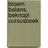 Bloem Balans, beknopt cursusboek