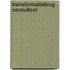 Transformatiebrug Consultset