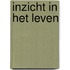 Inzicht in het leven