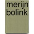 Merijn Bolink