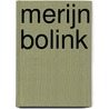 Merijn Bolink by S. Lutticken