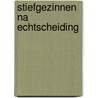 Stiefgezinnen na echtscheiding by Zwart