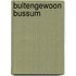 Buitengewoon Bussum
