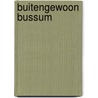 Buitengewoon Bussum door P. Schneiders