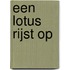 Een lotus rijst op