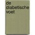 De Diabetische voet