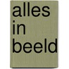 Alles in beeld by J.M. Kock