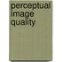 Perceptual image quality