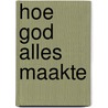 Hoe God alles maakte door Rian Visser
