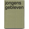 Jongens Gebleven door R. Kijne