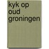 Kyk op oud groningen