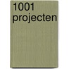 1001 projecten door F. Woudstra