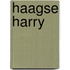 Haagse Harry