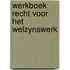Werkboek recht voor het welzynswerk