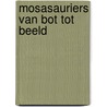Mosasauriers van bot tot beeld by Lever