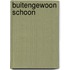 Buitengewoon schoon