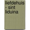 Liefdehuis - Sint Liduina door T. van Kemseke