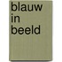 Blauw in beeld
