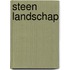 Steen landschap